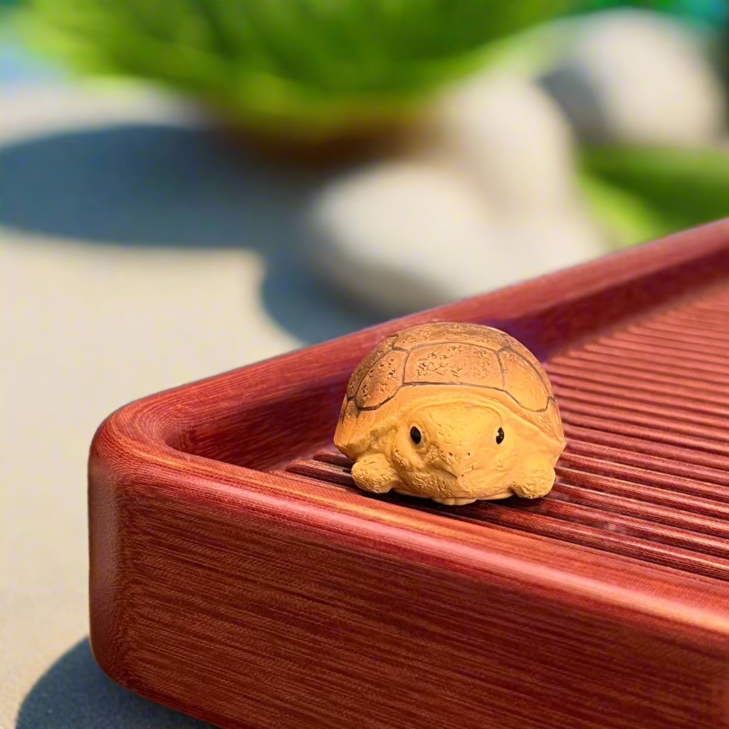 Pissouri Turtle Tea pet #1208