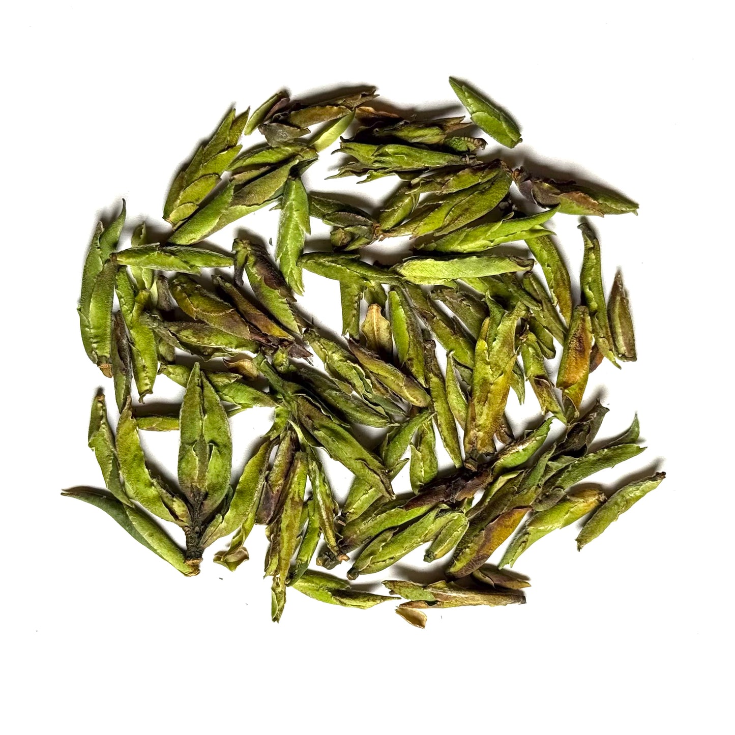 Ye Sheng Ya Bao, spring 2026