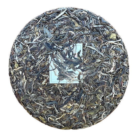 Bing Dao Gu Shu 2023, 357g