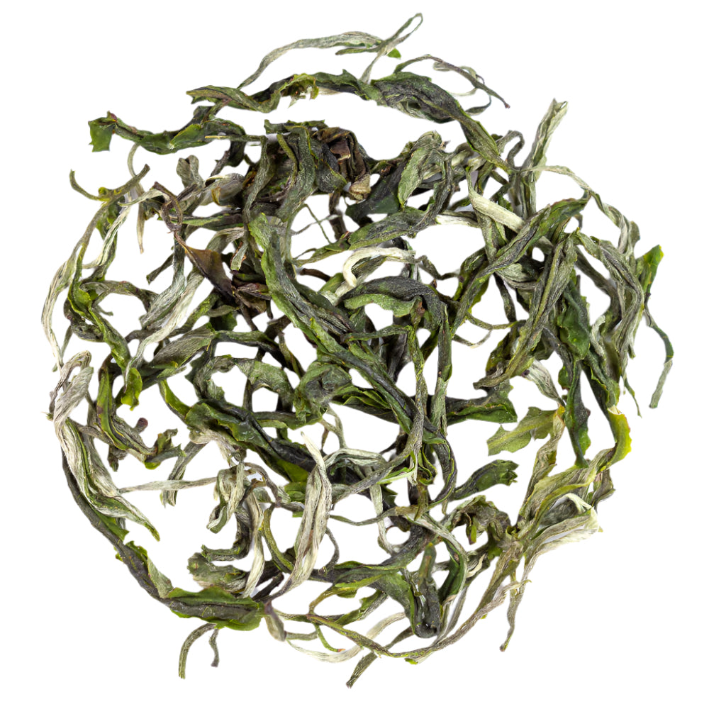 Yunnan Early Spring Mao Feng, spring 2025