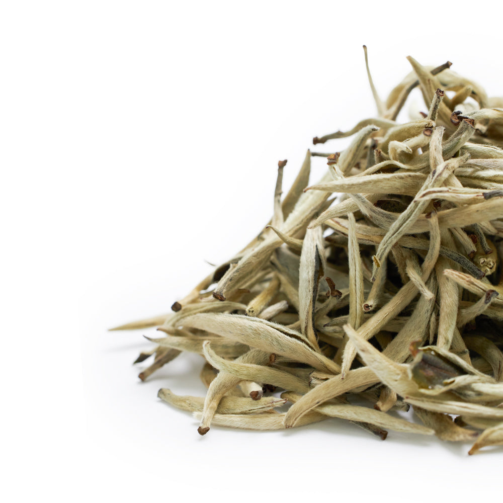 Yin Zhen "Silver Needles", spring 2026