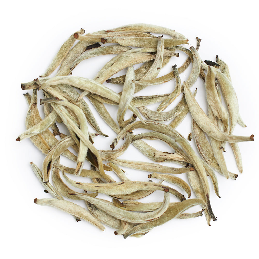 Yin Zhen "Silver Needles", spring 2026