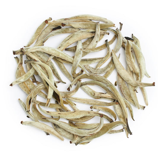 Yin Zhen "Silver Needles", spring 2026
