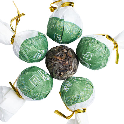 Jingu Gu Shu 2025, 6g long zhu