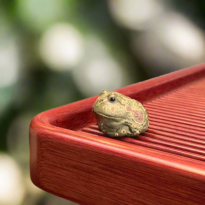 Spotted Green Frog Tea pet #1214
