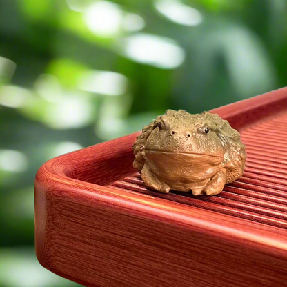 Fat Frog Tea pet #1225