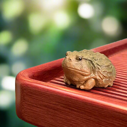 Fat Frog Tea pet #1225