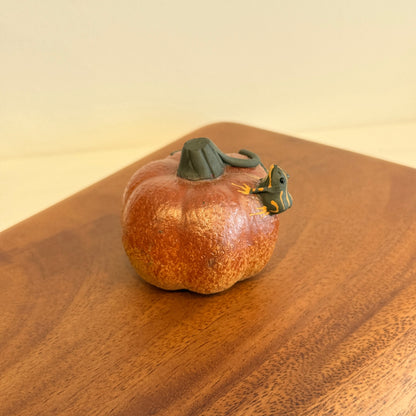 Frog on the pumpkin, spitting water