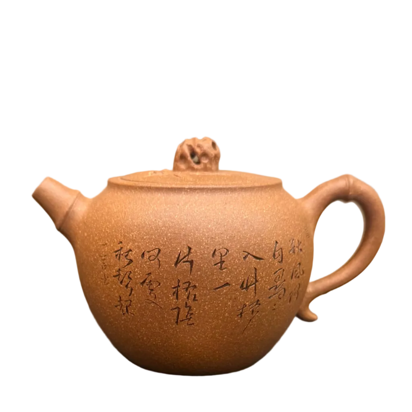 Yixing Xie Huan Duan Ni Fu Zhu Fang Biao, 200ml