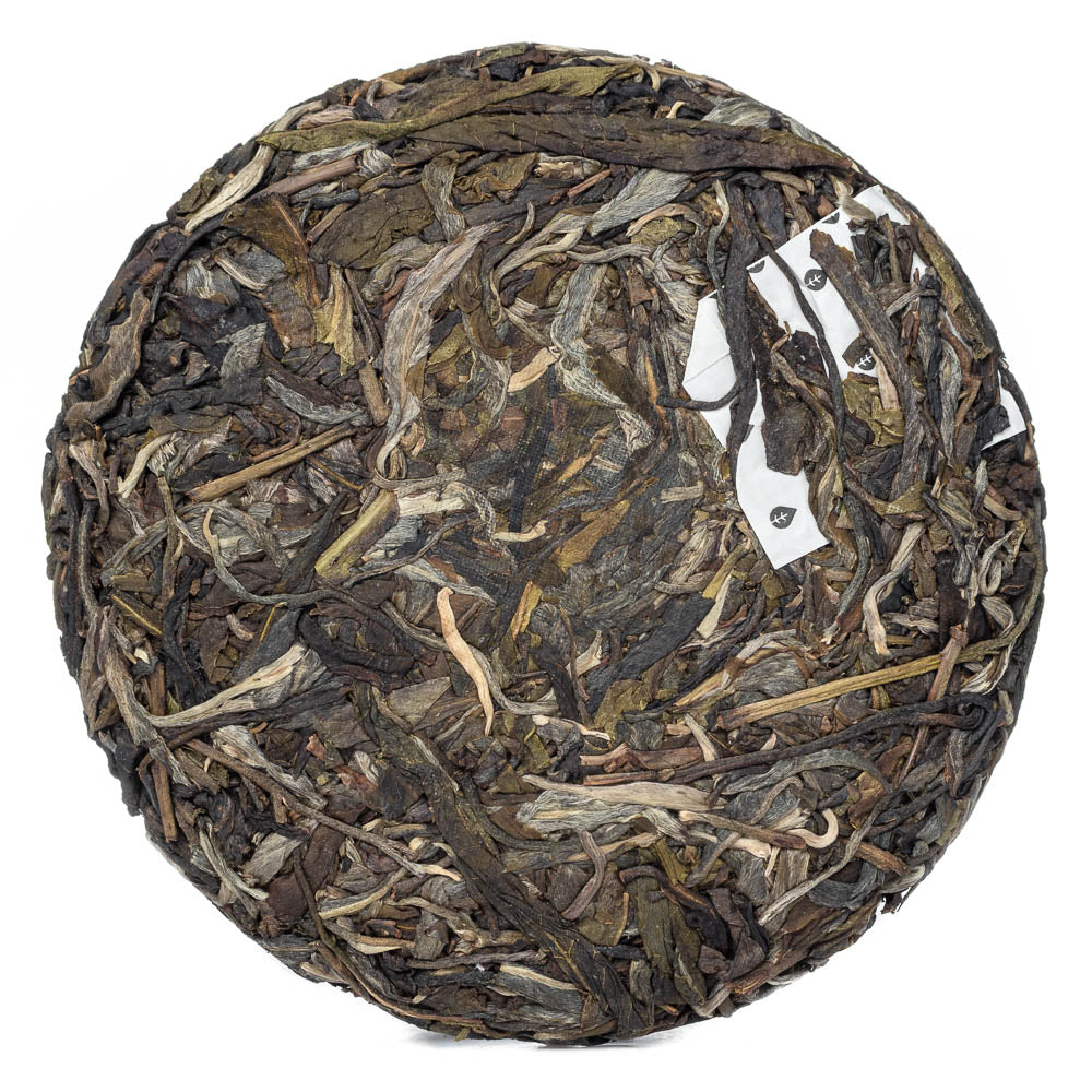 Raw (Sheng) Da Long Shan Gu Shu, 2023, 100g