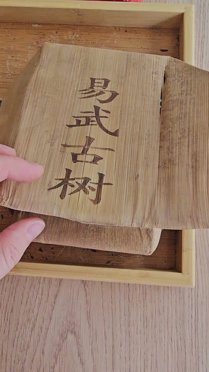 Raw (Sheng) pu-erh Yi Wu Gu Shu "Bamboo Brick" 2009, 500 g