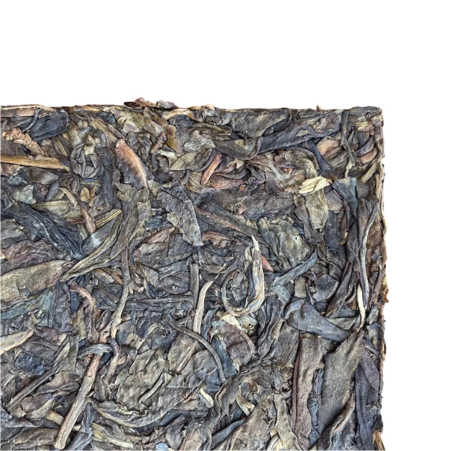 Raw (Sheng) pu-erh Yi Wu Gu Shu "Bamboo Brick" 2009, 500g